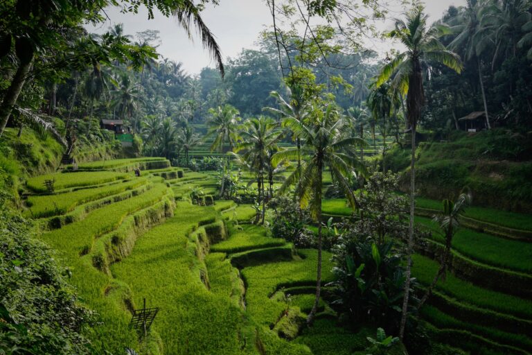 Bali: Discovering the Hidden Gem of Nusa Penida