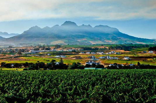 stellenbosch